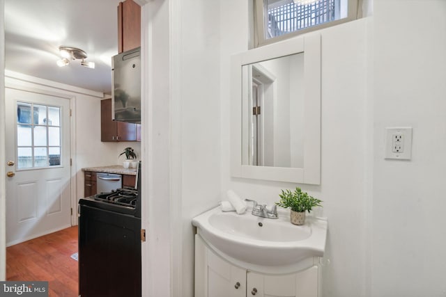 bathroom with hardwood / wood-style flooring and vanity