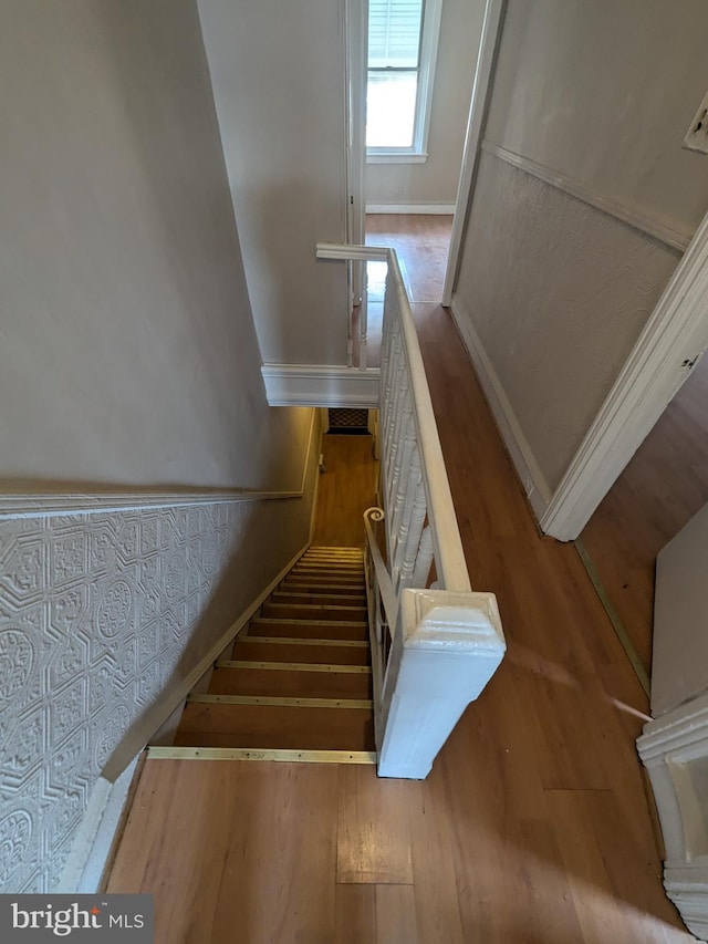 stairs with hardwood / wood-style flooring