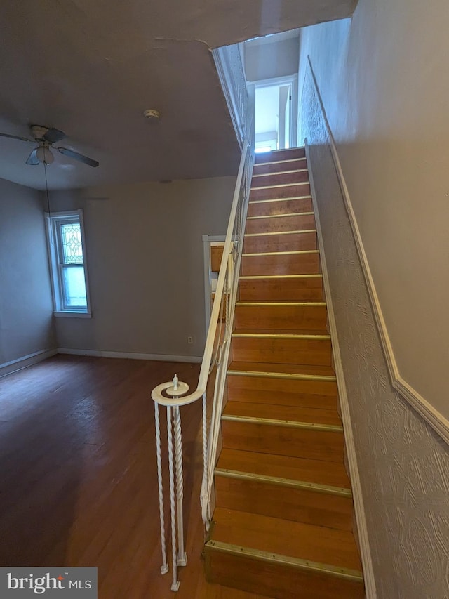 stairway with ceiling fan and hardwood / wood-style floors