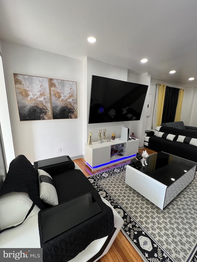 living room with wood-type flooring