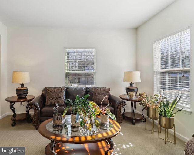 living room with carpet floors