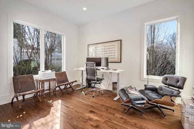 office space featuring wood-type flooring