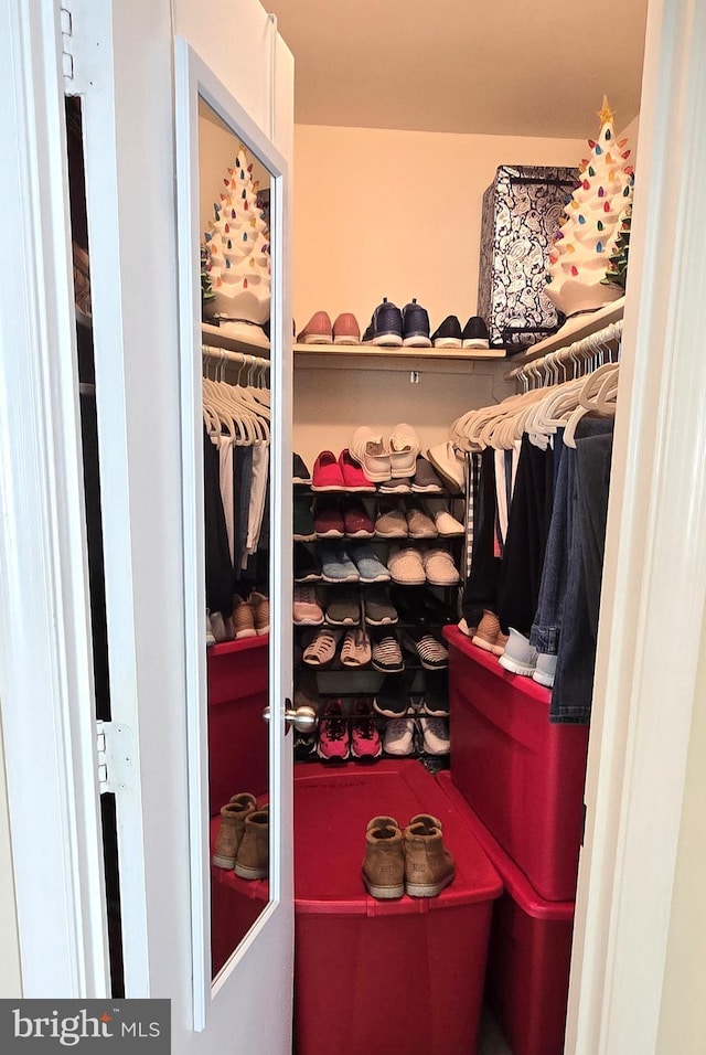 view of spacious closet