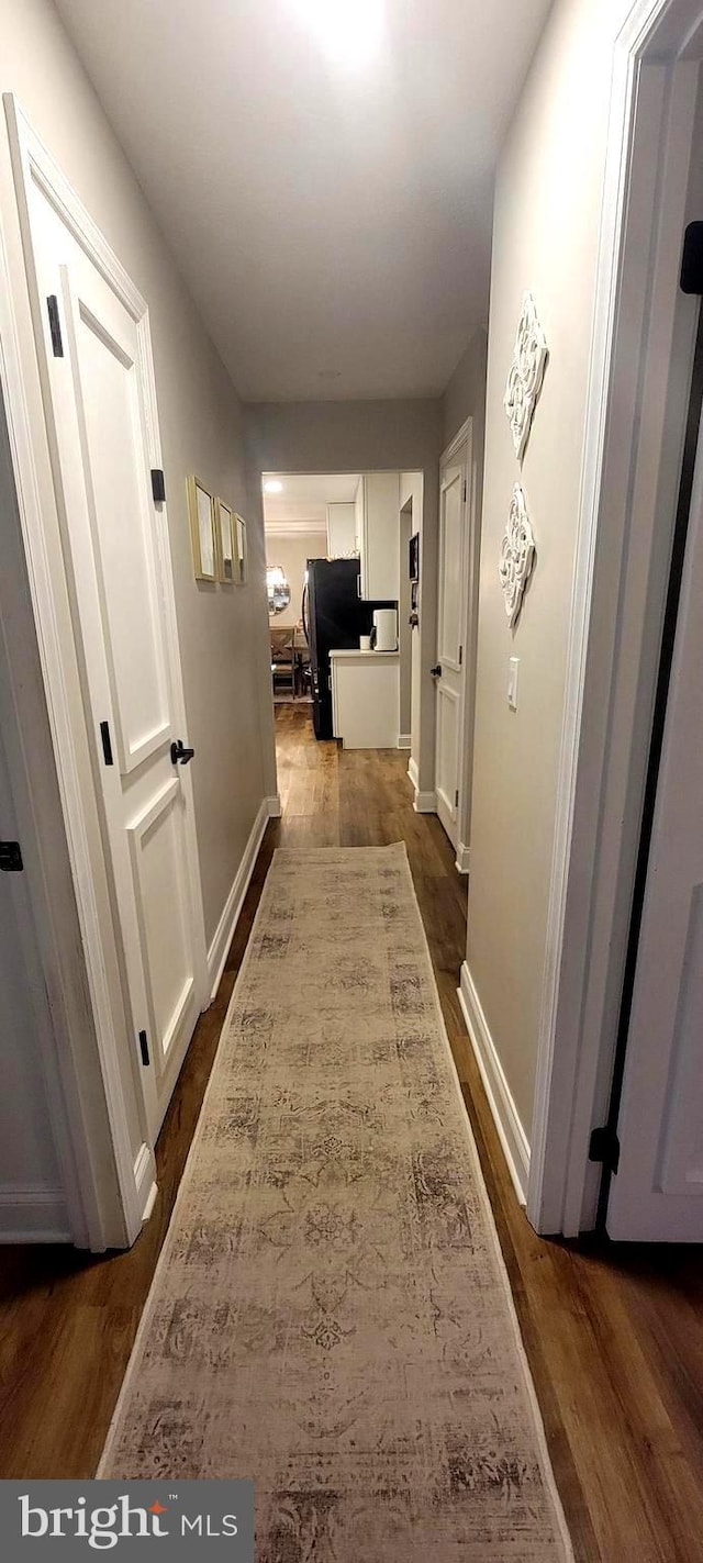 hallway featuring dark wood-type flooring