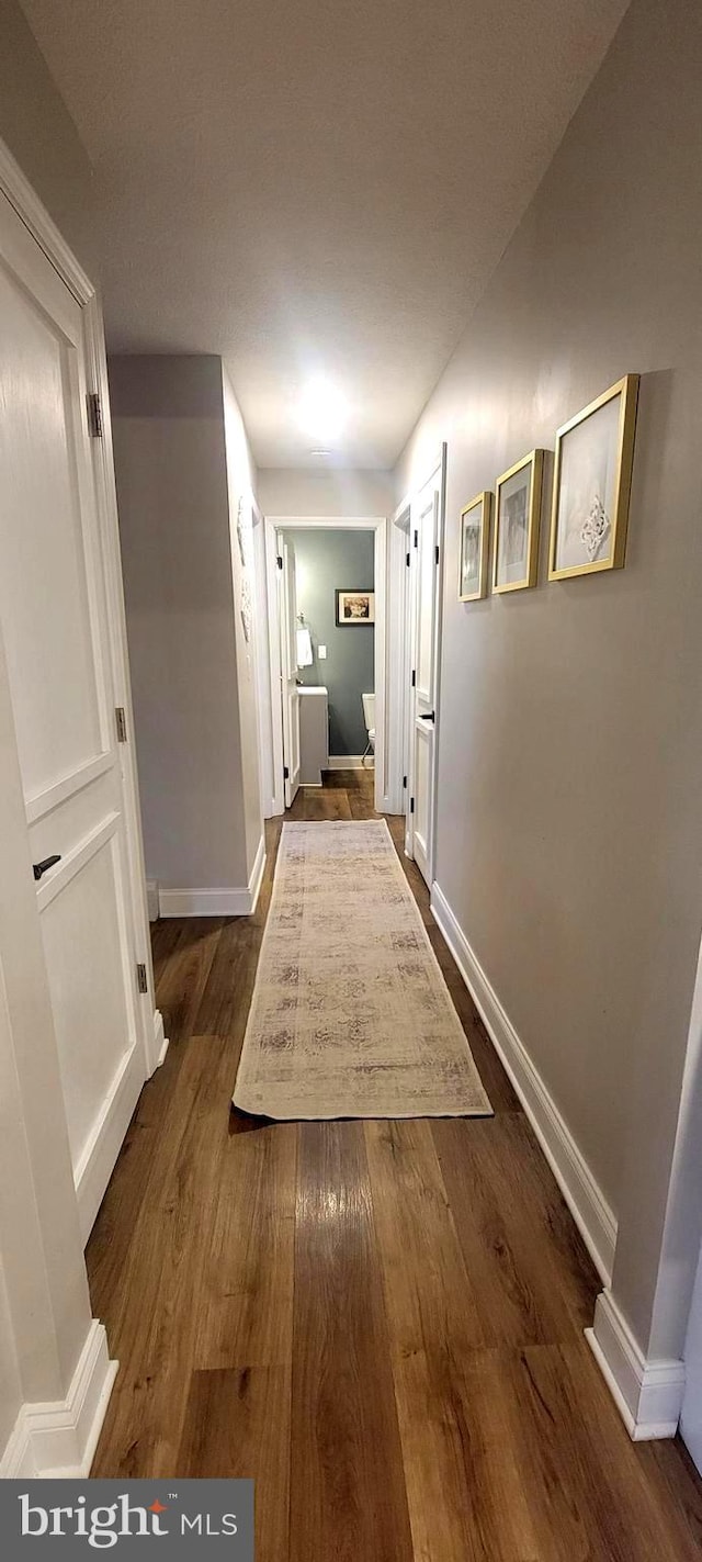 hallway with dark hardwood / wood-style floors