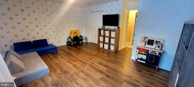 living room featuring wood-type flooring