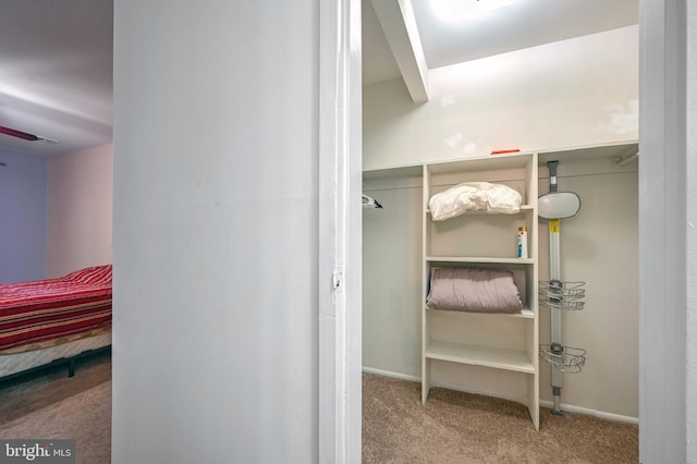 spacious closet featuring light colored carpet and ceiling fan