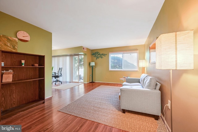 living room with hardwood / wood-style flooring