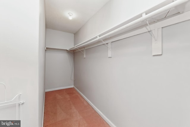 spacious closet with carpet flooring