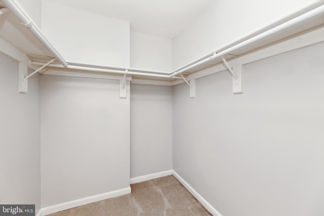 walk in closet with light colored carpet