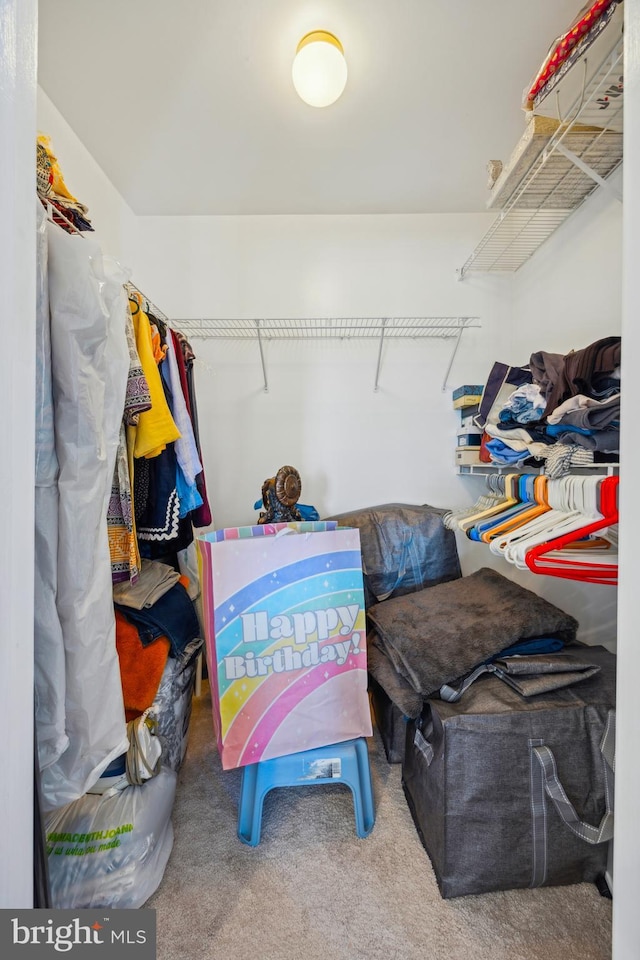 spacious closet with carpet