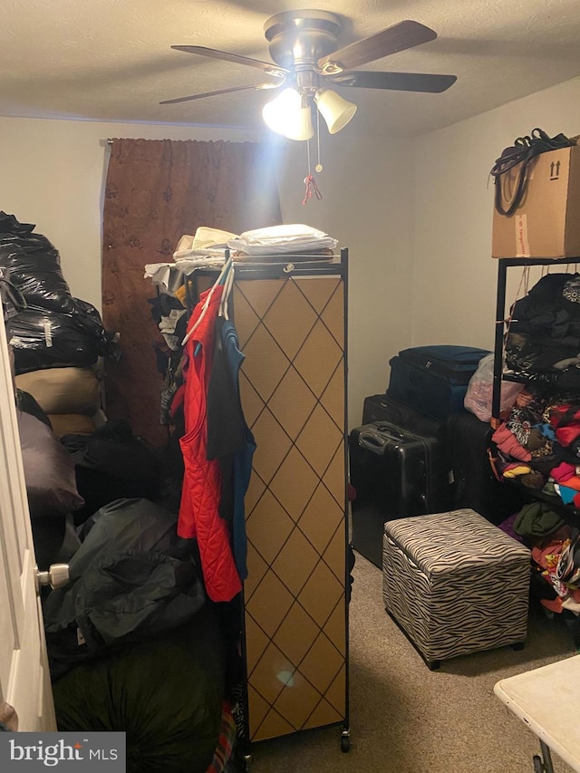 bedroom with carpet and ceiling fan