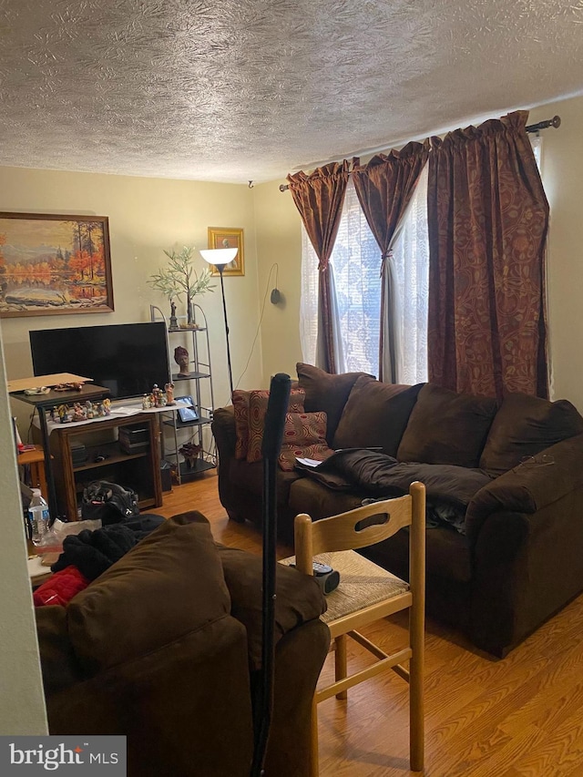 living room featuring hardwood / wood-style floors and a textured ceiling