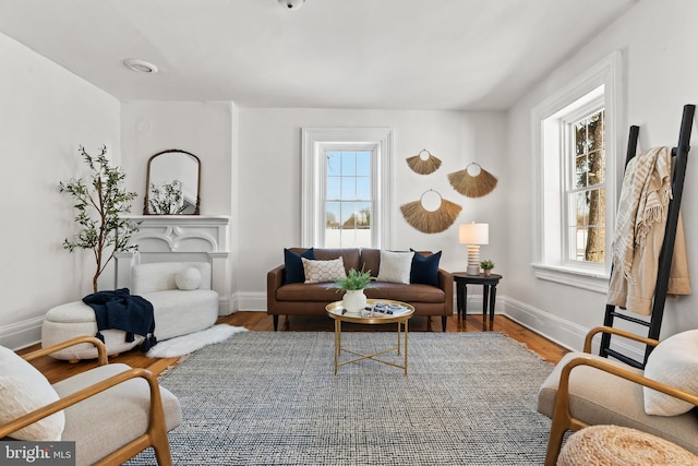 living room with wood-type flooring and plenty of natural light