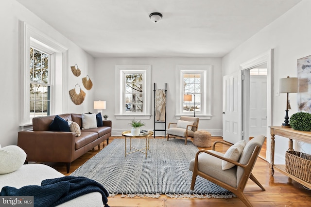 living room featuring wood-type flooring