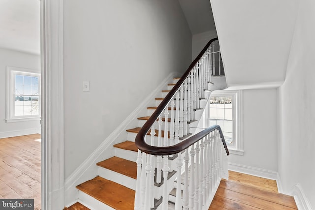 staircase with wood-type flooring and a wealth of natural light