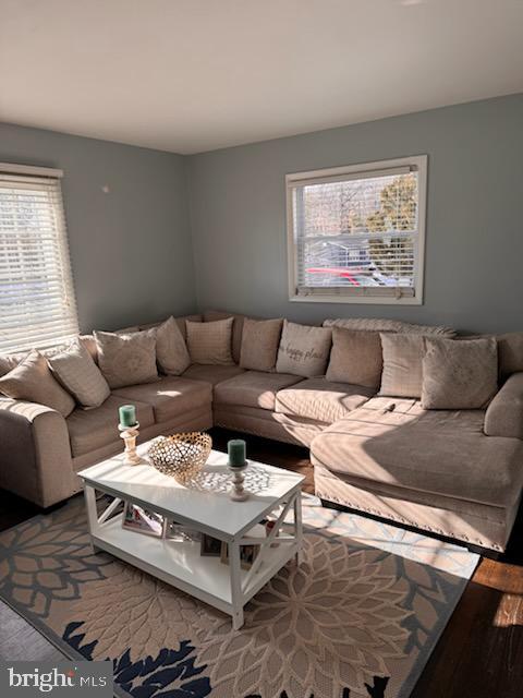 living room featuring hardwood / wood-style floors