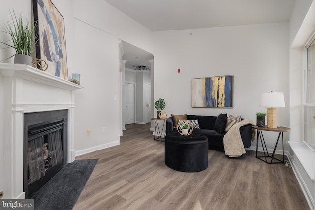 living room with hardwood / wood-style flooring