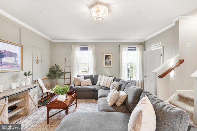 living room featuring crown molding