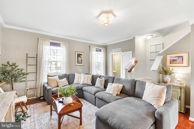 living room featuring ornamental molding, plenty of natural light, and light hardwood / wood-style floors