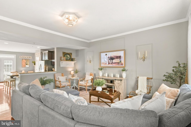 living room featuring crown molding