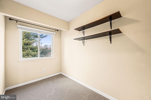 interior space featuring carpet floors