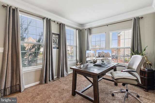 office featuring crown molding, plenty of natural light, and carpet flooring