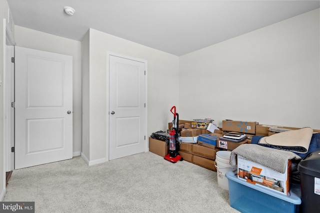 interior space with light colored carpet