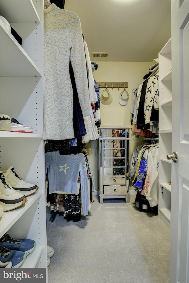 view of spacious closet