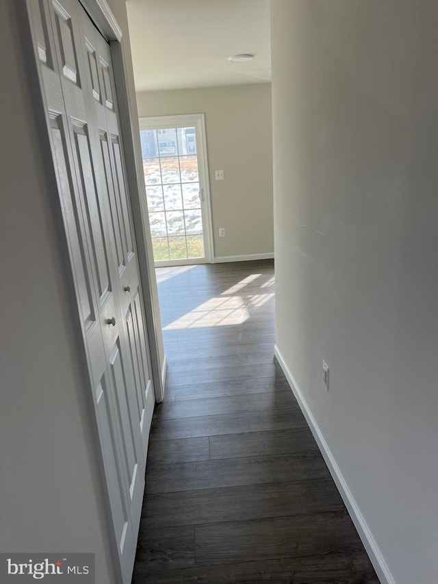 hallway with dark hardwood / wood-style floors