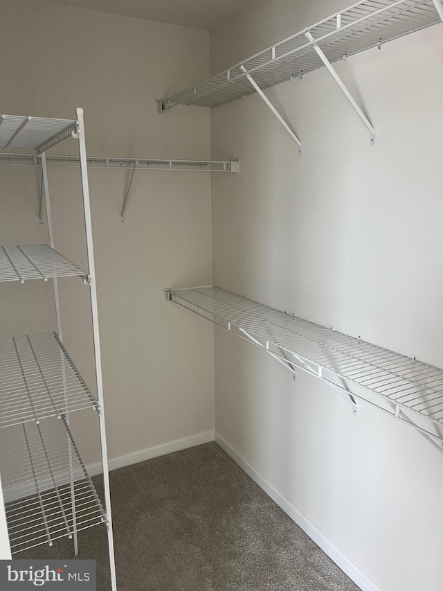 spacious closet featuring dark carpet