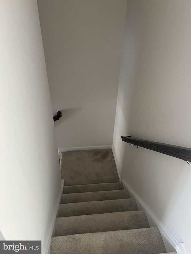 staircase featuring carpet floors