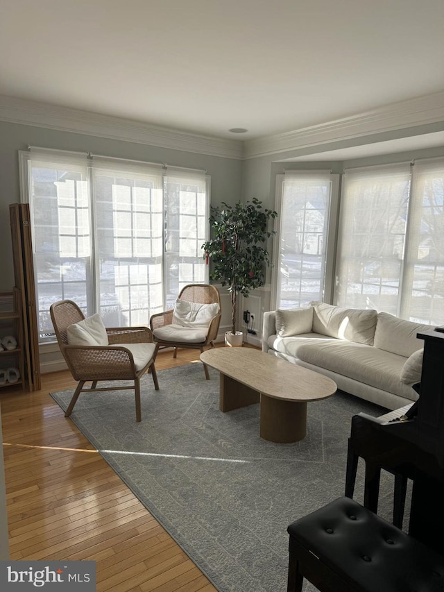 living room with ornamental molding, plenty of natural light, and hardwood / wood-style floors