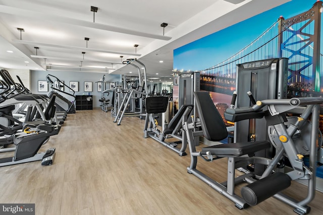 exercise room featuring wood finished floors