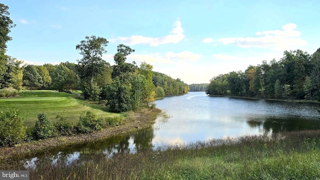 property view of water with a forest view