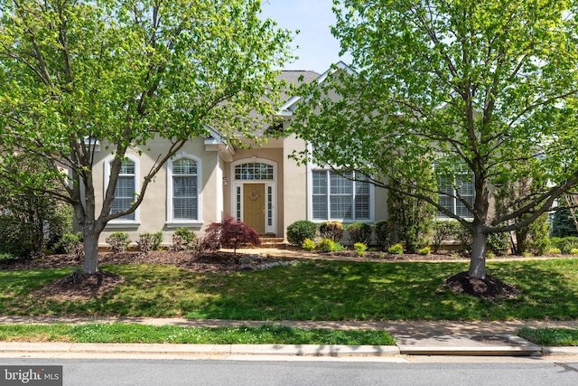 obstructed view of property with a front lawn and stucco siding