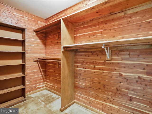 spacious closet featuring carpet