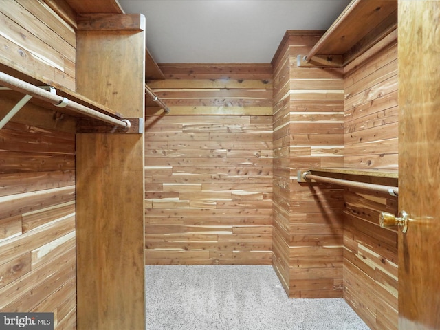 spacious closet with carpet