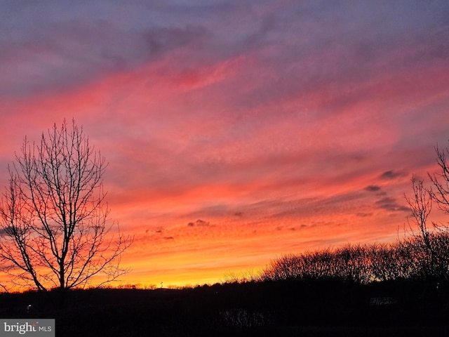 view of nature at dusk