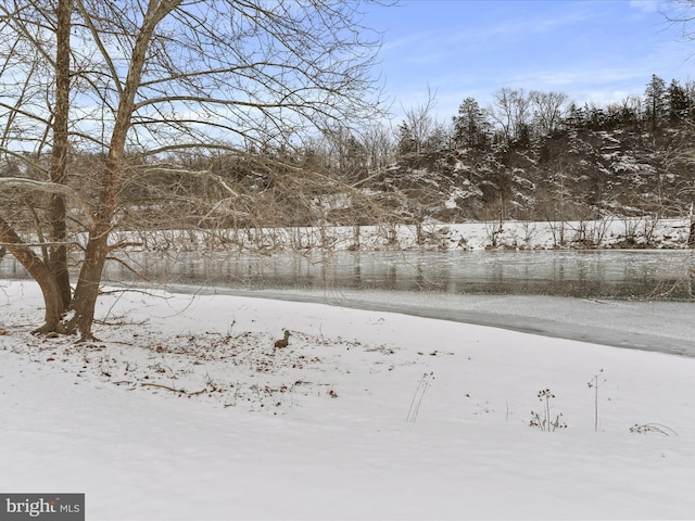 view of yard layered in snow