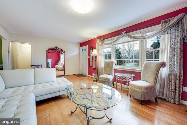 living room with hardwood / wood-style flooring