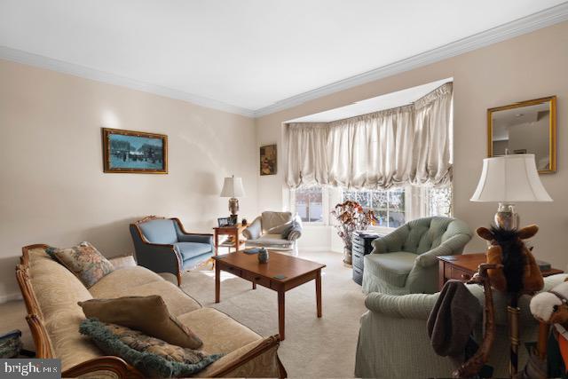 carpeted living room featuring crown molding