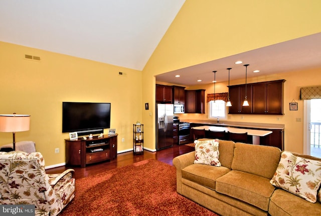 living room featuring high vaulted ceiling, sink, and dark hardwood / wood-style floors