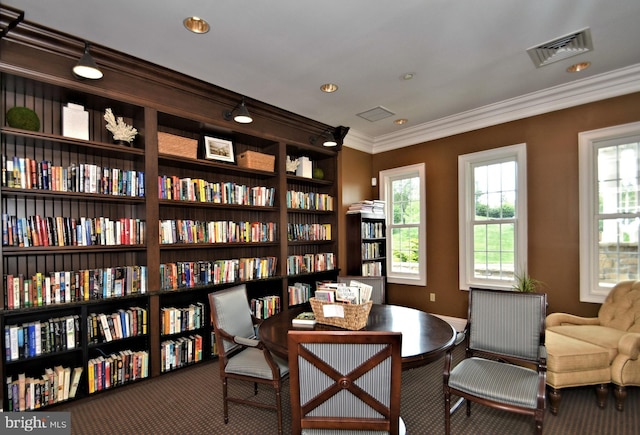 living area featuring crown molding and carpet