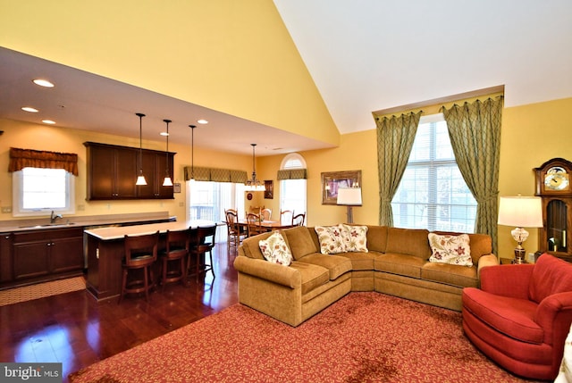 living room with dark wood-type flooring, sink, and a wealth of natural light