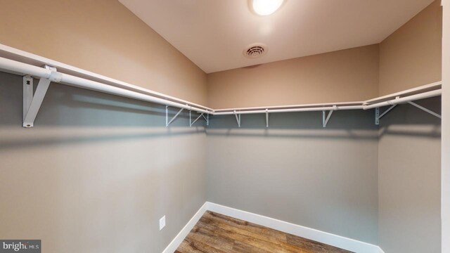 spacious closet with wood-type flooring