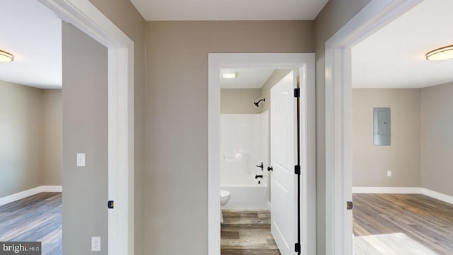 hall featuring electric panel and light wood-type flooring