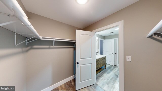 spacious closet featuring light wood-type flooring