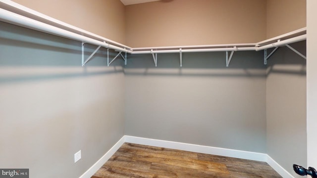 walk in closet featuring hardwood / wood-style floors