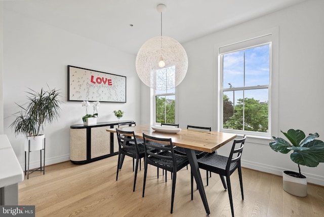 dining room featuring light hardwood / wood-style flooring and plenty of natural light